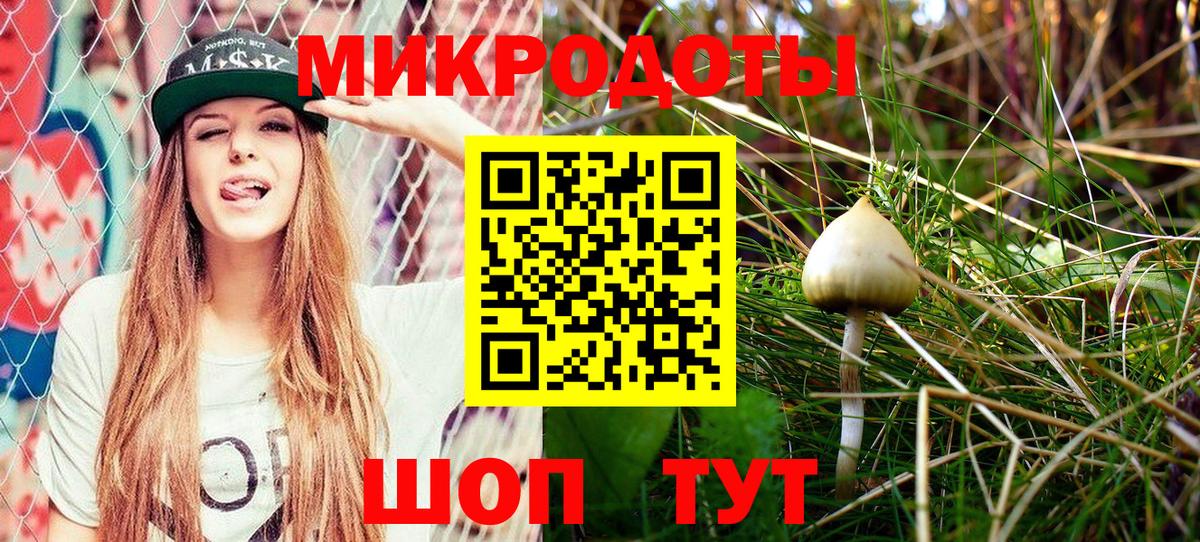 Галлюциногенные грибы Psilocybine cubensis  Вход с VPN  Жуковский 
