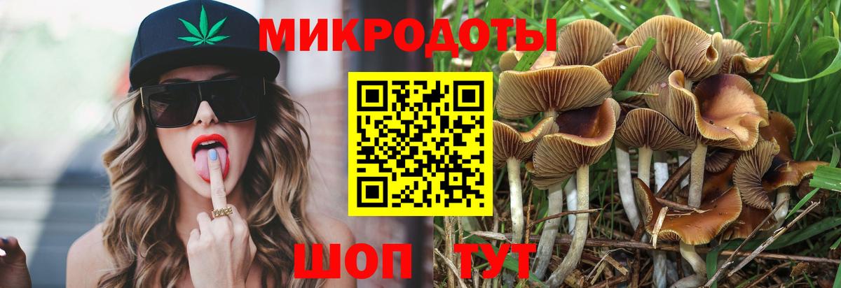 Галлюциногенные грибы Psilocybe Жуковский